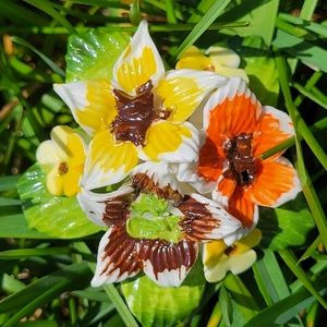 Vintage Healacraft Fine Bone China Brooch 1950s Flowers ~ Poppies & Pansies